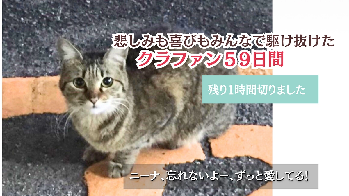 【残り1時間の時点で500万達成出来ました】皆様のお陰です、本当にありがとうございます。