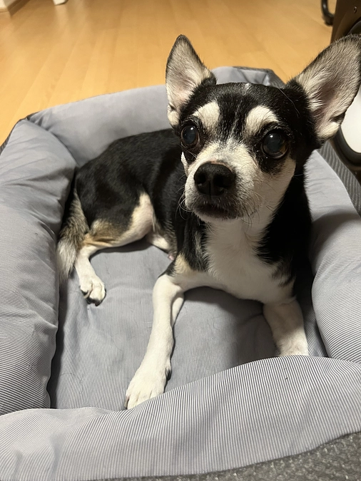 クラウドファンディング残り14日‼︎