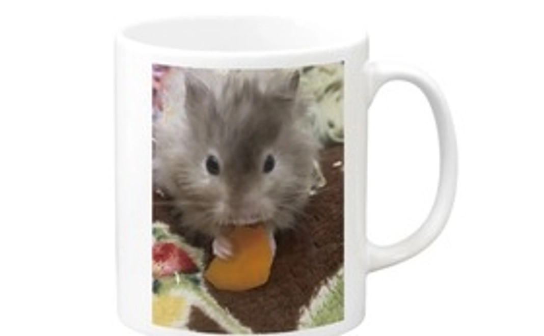 活動報告 マグカップ 缶バッジ カレンダー