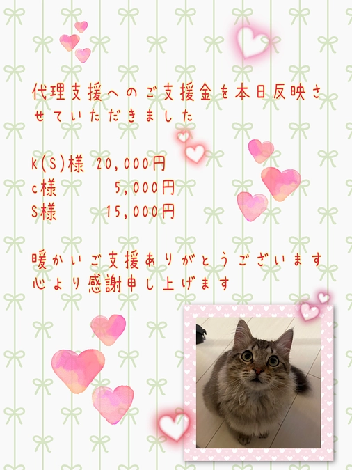 代理支援によりご支援くださいました方への感謝、そして経過観察9日目のちゃむ