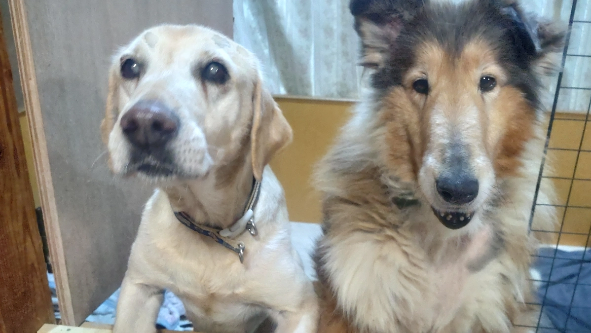 「旭」と名前が贈られたそうです！