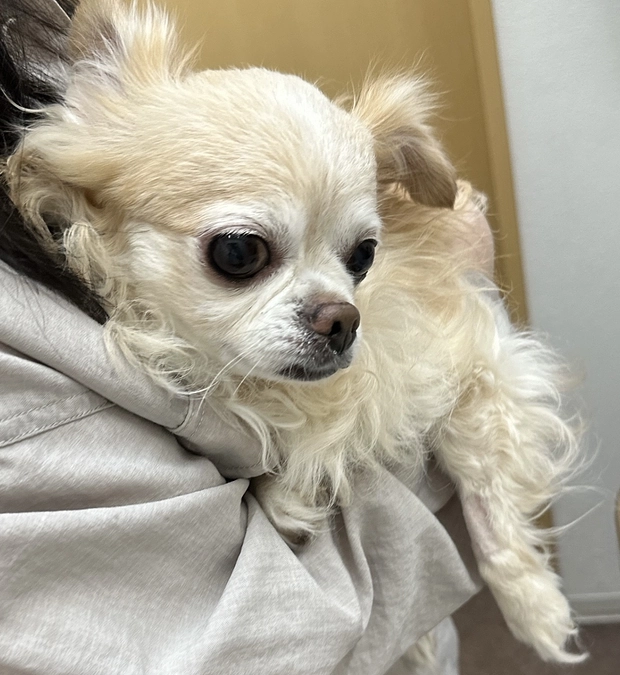 今日も震えながら病院頑張ってくれました！