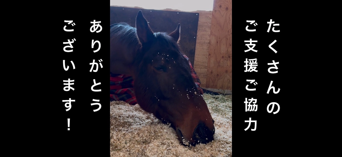 たくさんのご支援・ご協力ありがとうございます！