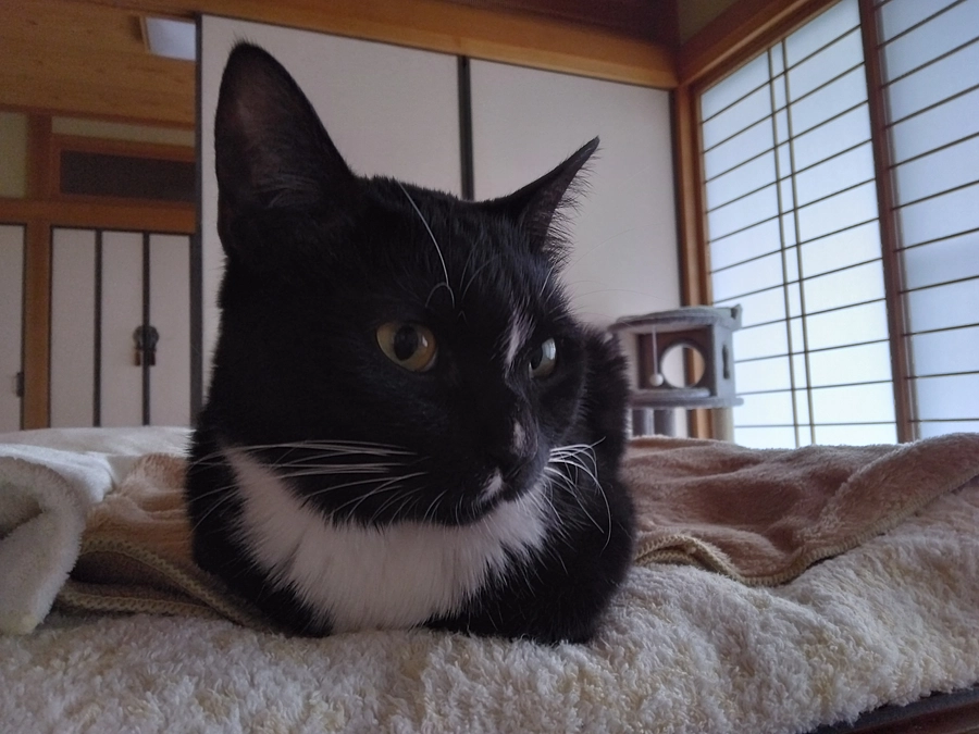 6/2はなちゃんの様子