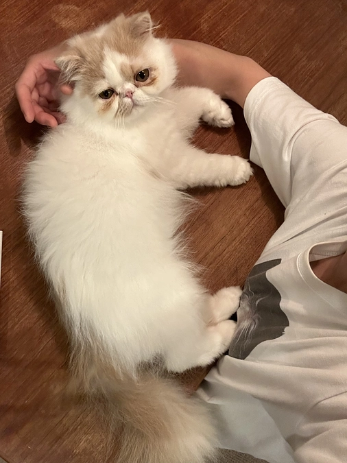 コハク頑張ってます！