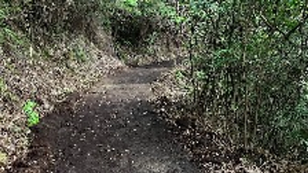 5/3(金)路網整備、獣道、水発見