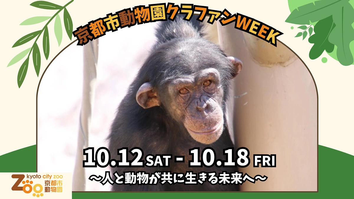 【10/12〜10/18 】クラファンWEEK開催！ぜひ京都市動物園のSNSをチェックしてください