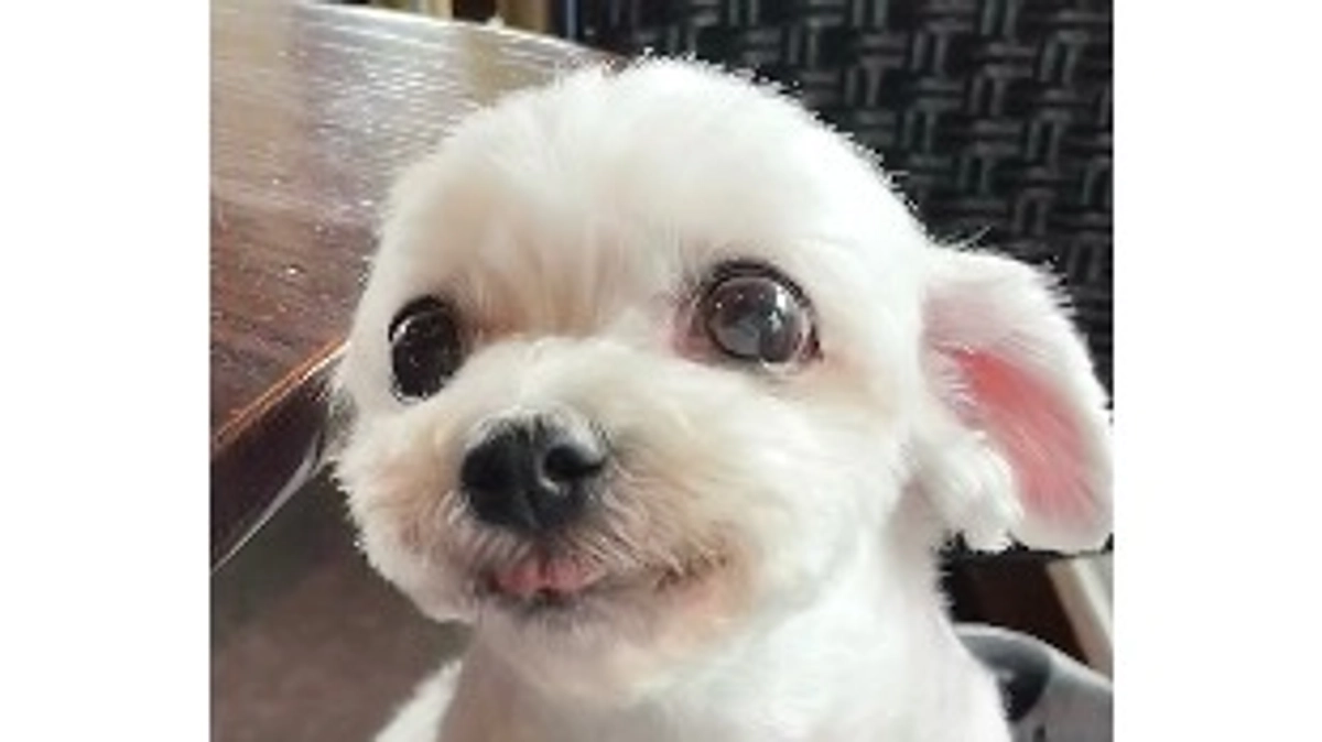 本日最終日です。いつもありがとうございます。