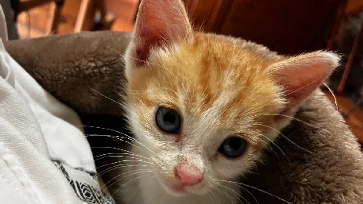 活動、運営を続けていくために。