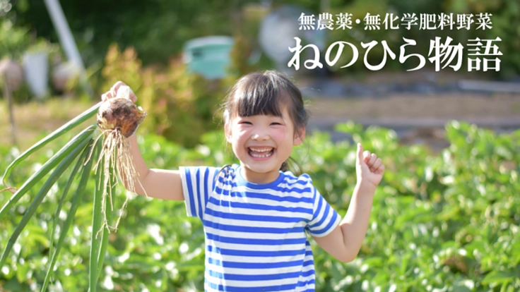 台風で壊れたビニルハウスを改修し、無農薬野菜を全国に届けたい