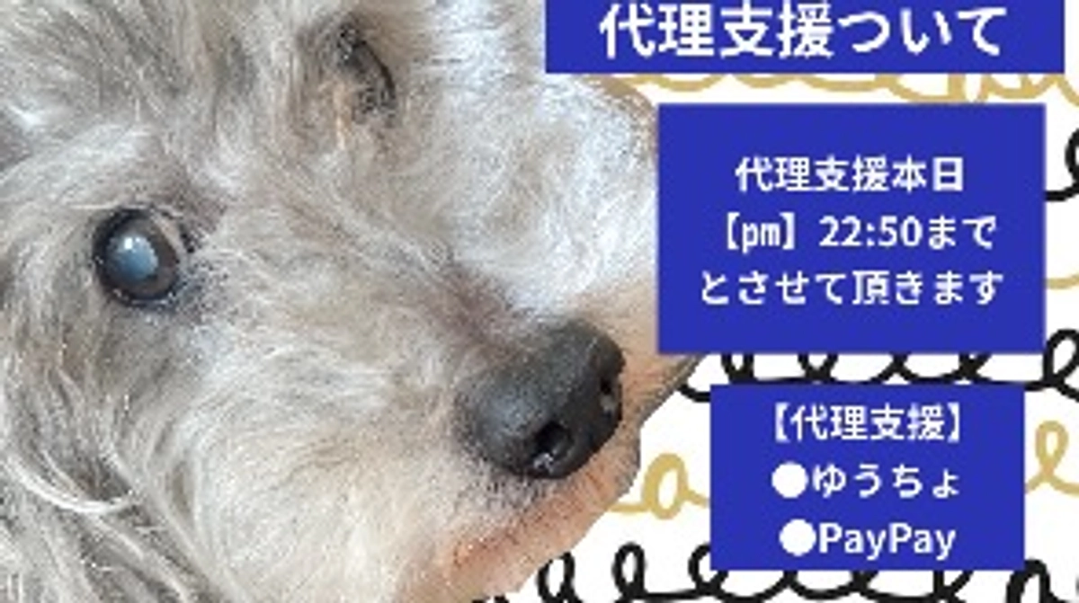 代理支援について