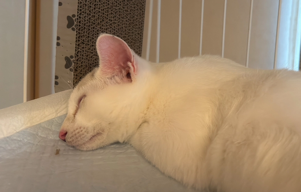 季節の変わり目