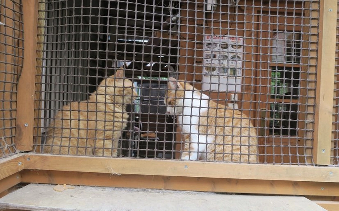 応援メッセージ②搬送班吉岡さんより