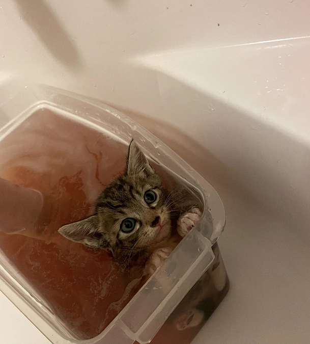 真っ赤に染まる沐浴