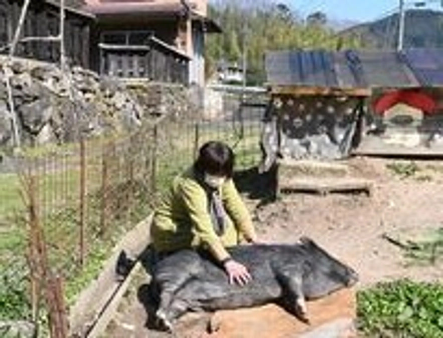 【応援メッセージ紹介③】間借り食堂をお借りしている“えん処米や”さんより応援メッセージを頂きました♡