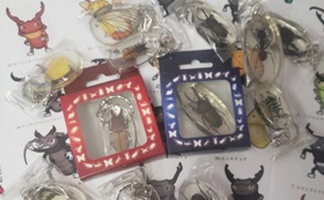 グッズで支援Bコース