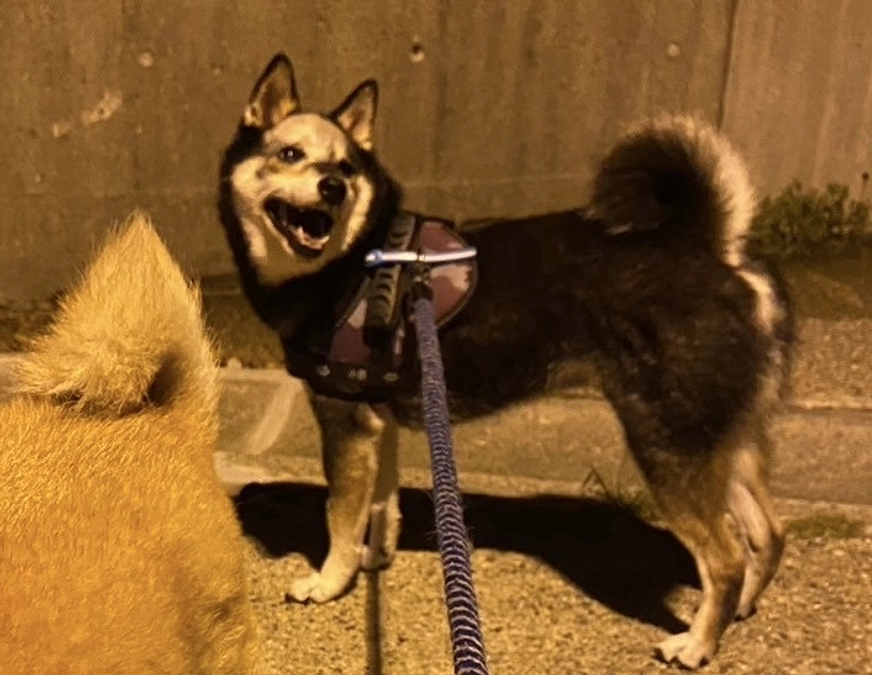 抗がん剤の種類を元に戻すことに……