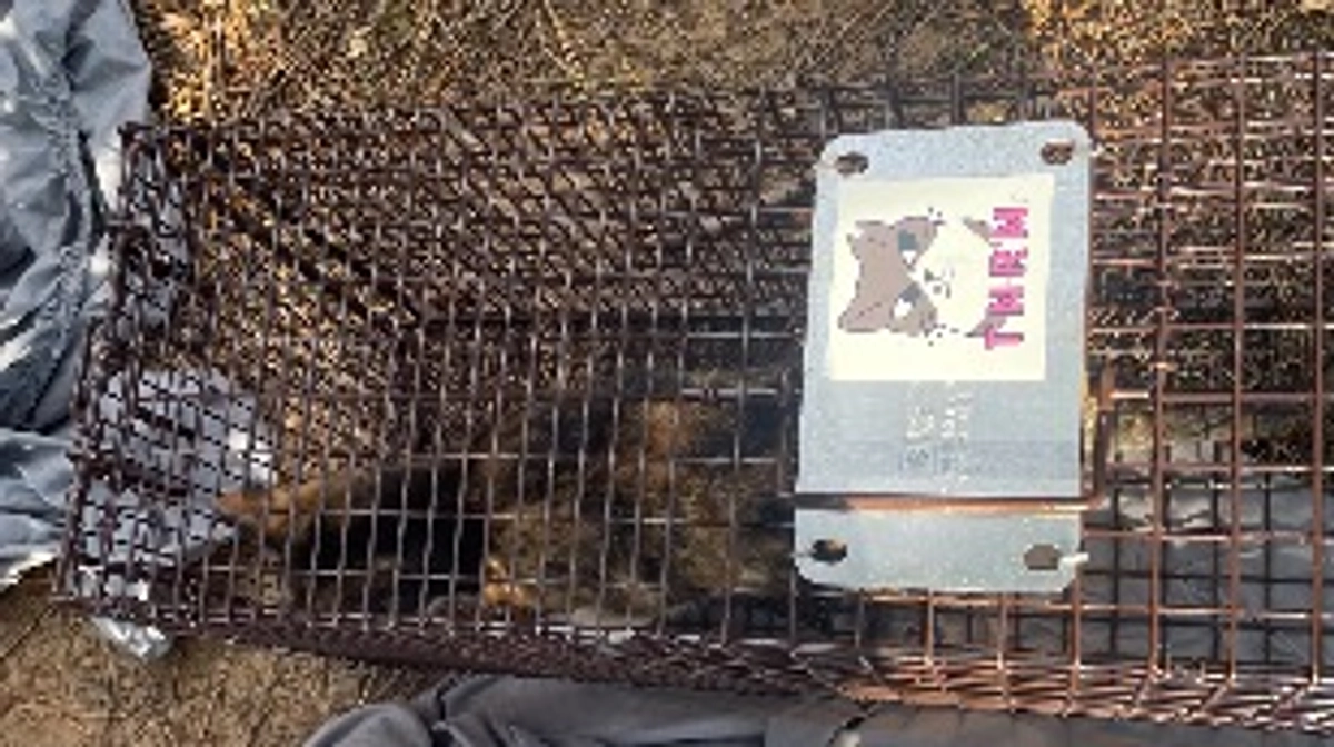 無事に手術を終えて帰ってきました。