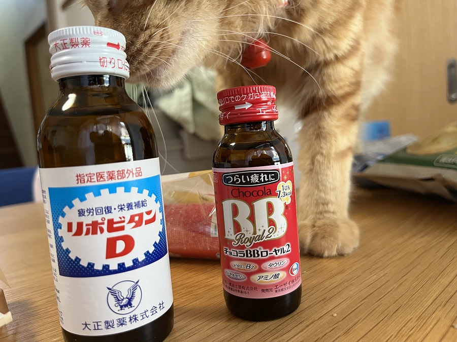 【あと7日】32日目の朝