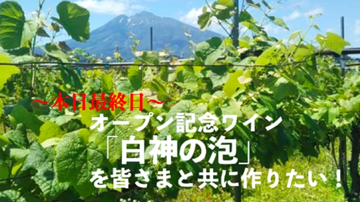 白神山地にワイナリーOPEN！皆さまと共に記念酒でお祝い！