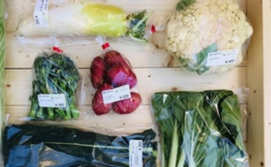 【食べて応援！】旬のお野菜セット（5〜6種類）