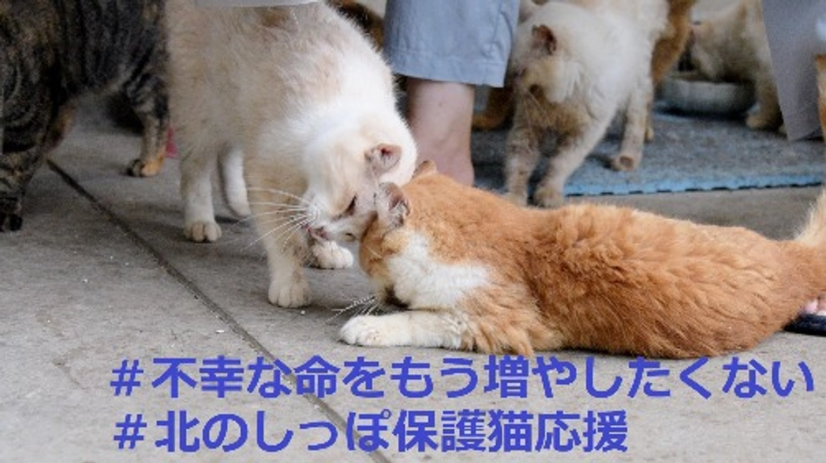 ハッシュタグ企画を開催！皆さまの想いと共に、どうかご協力をお願いします