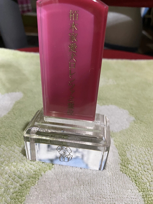 一年振りに富士山五号目にロレンツアと行きました　なんと山の下は雨が五号目は晴れました