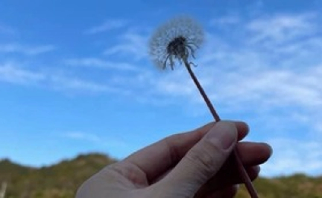 ニュースレター付きサンクスメールB