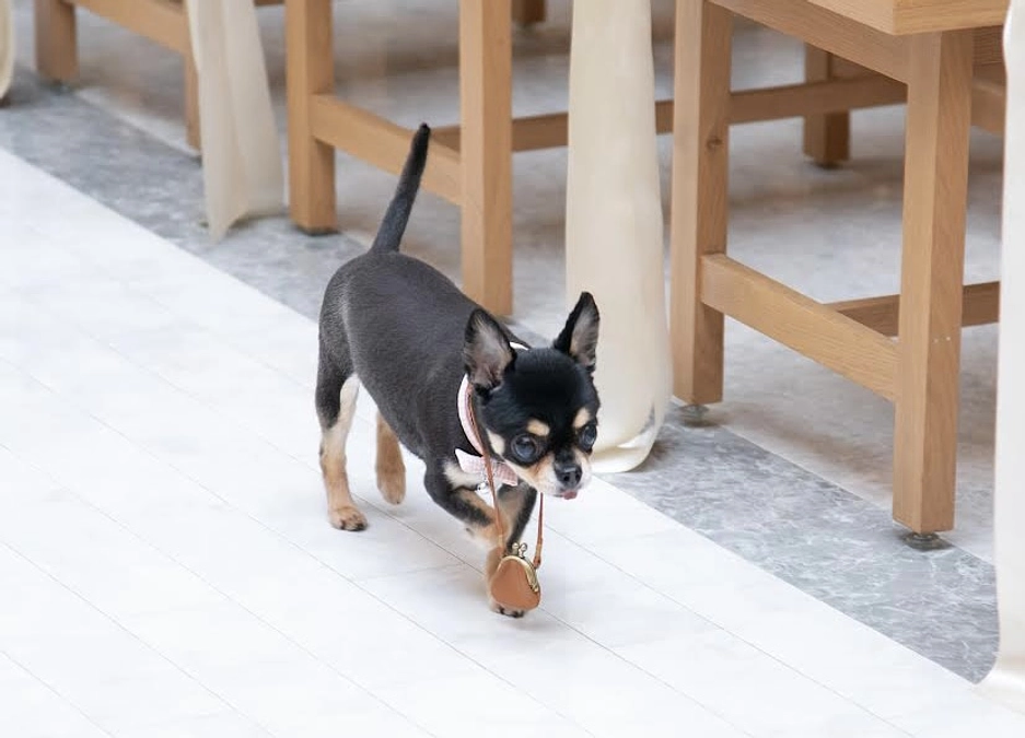 いつも応援して頂きありがとうございます！