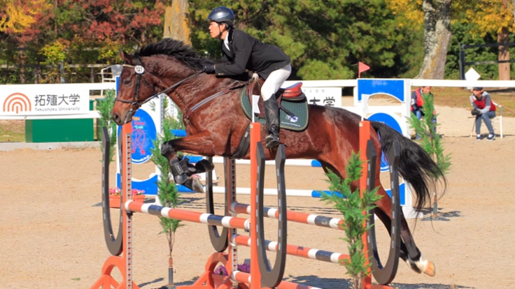 名古屋大学馬術部の挑戦！存続の危機を乗り越える！