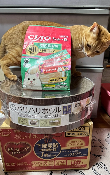 頂いた物資の紹介3