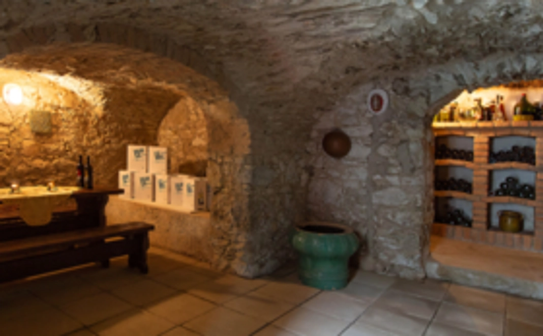 スロベニアワインを日本に紹介し味わってほしい。