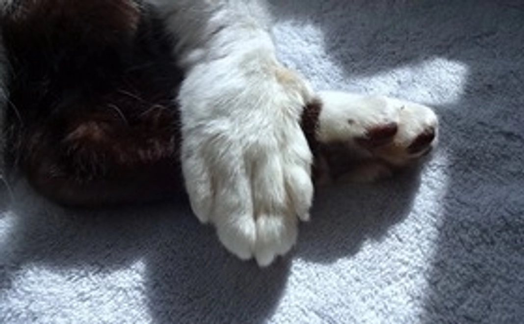 感謝のメール b