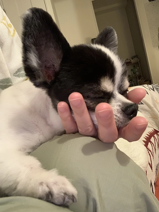 咳がしんどそう・・・