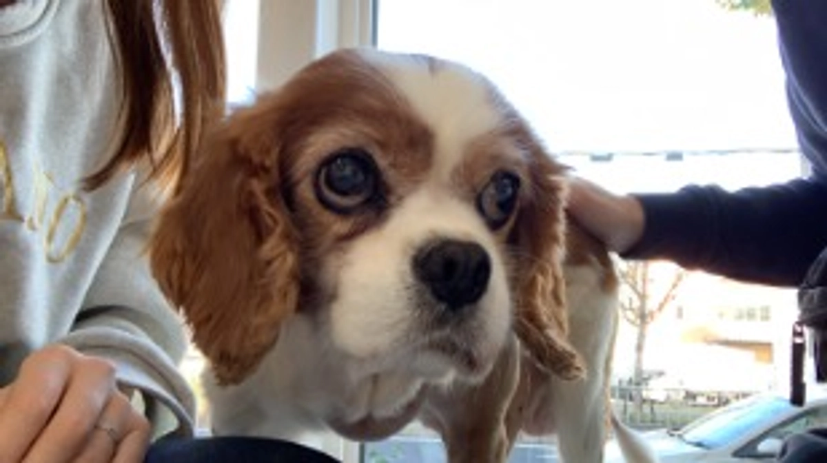 クラウドファウンディング残り30日