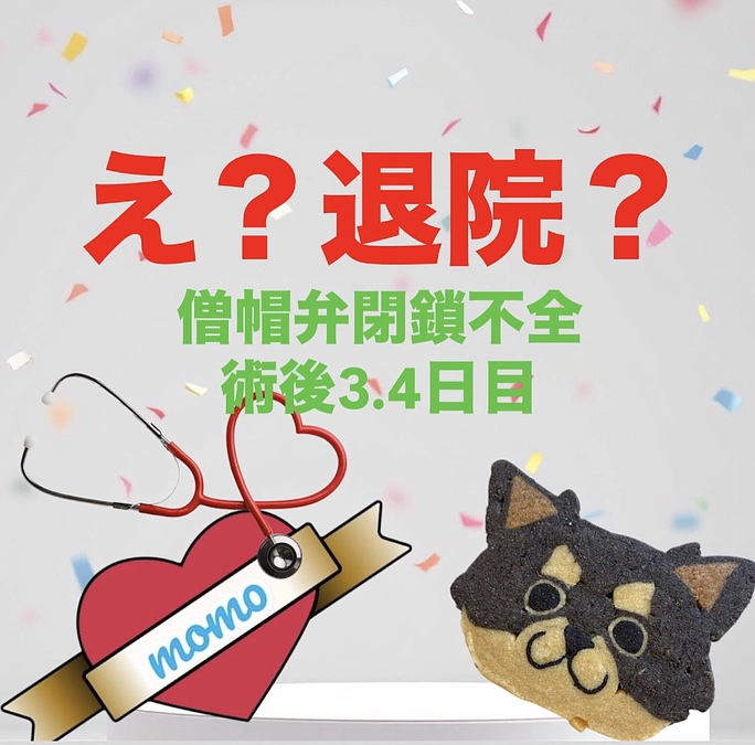 ももたんの術後4日目(5/20)