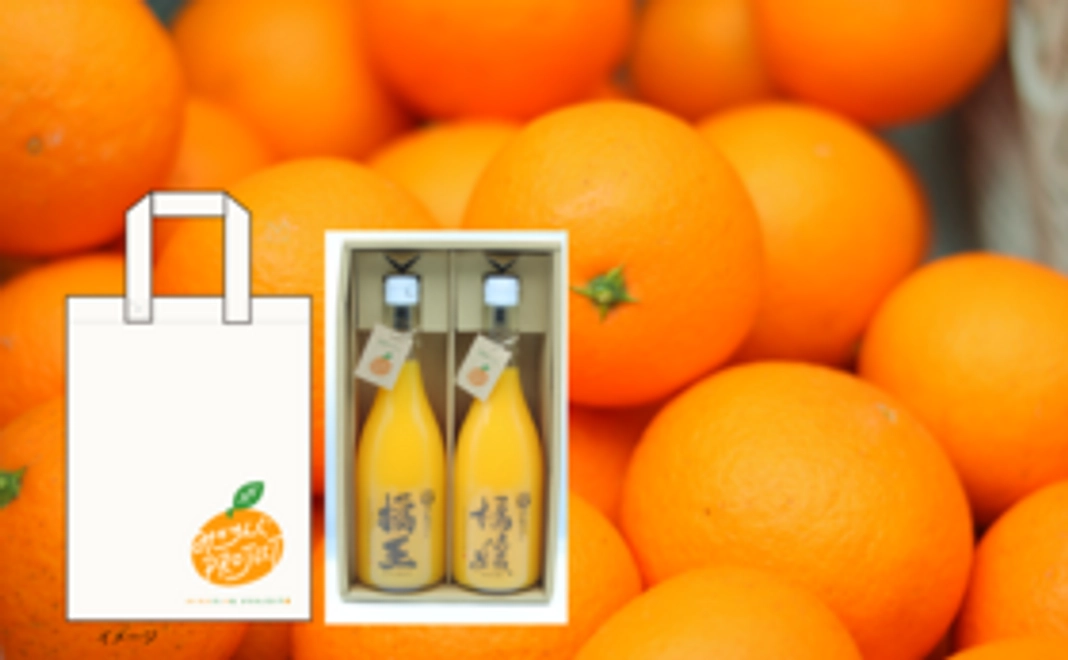 【生の柑橘＆ジュース】あま～い訳あり柑橘（約10㎏）2箱＆ジュース（720ｍｌ）2本＆トートバック＋みかん便り