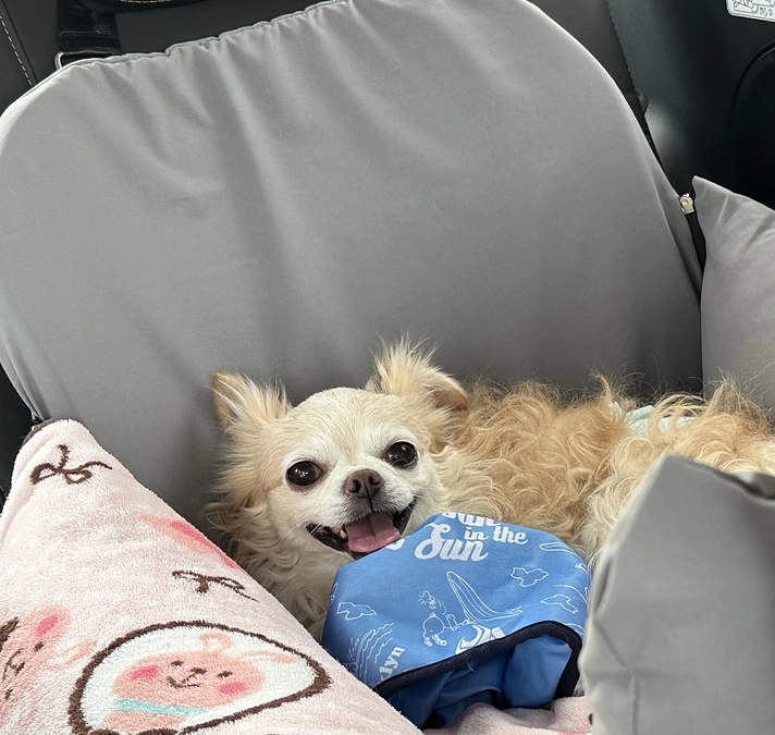 本日は8/8に手術予定のA病院へ行って来ました。。