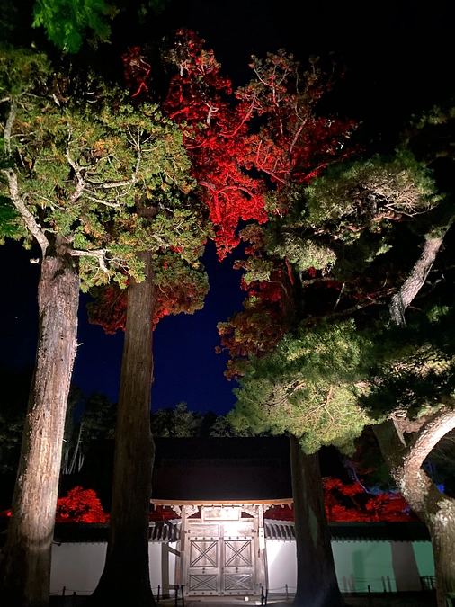 曇りなき心の月を先立てて浮世の闇を照らしてぞ行く 