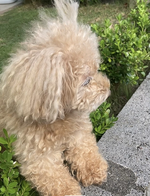 すっかり秋の気配　少しだけ…