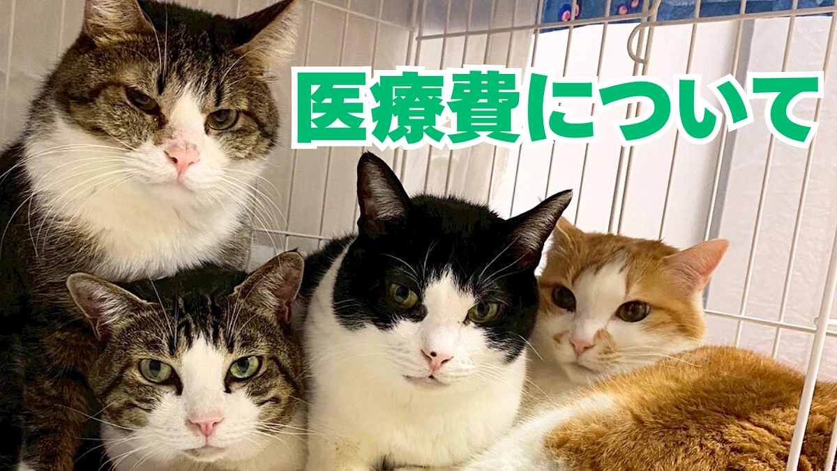 医療費について