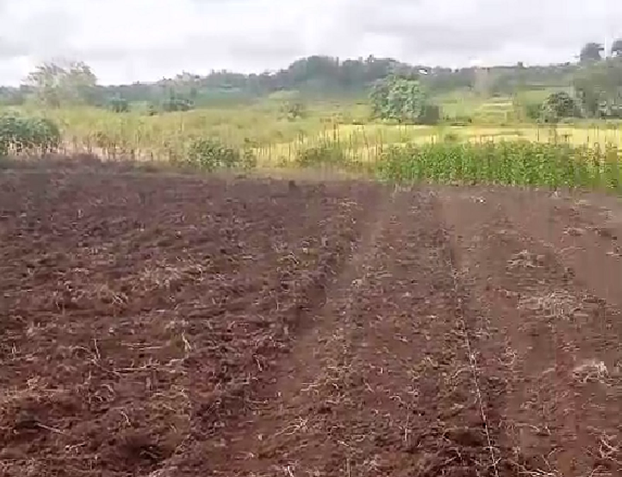 目標金額25％達成のご報告および野菜作り支援の近況