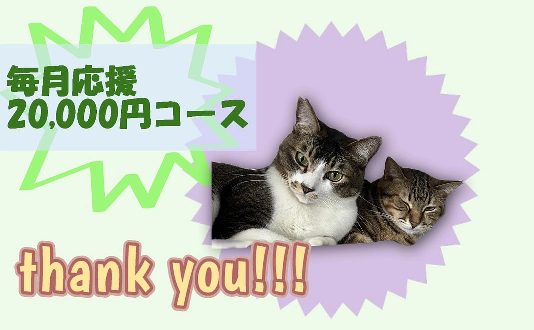 毎月応援　20,000円コース