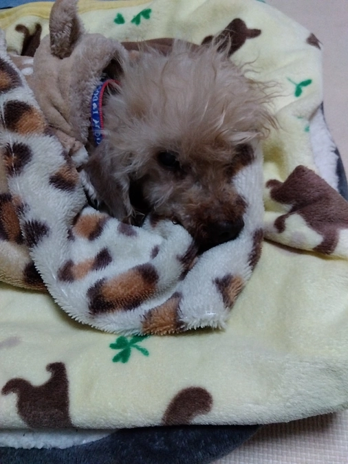 新しい年も頑張ります