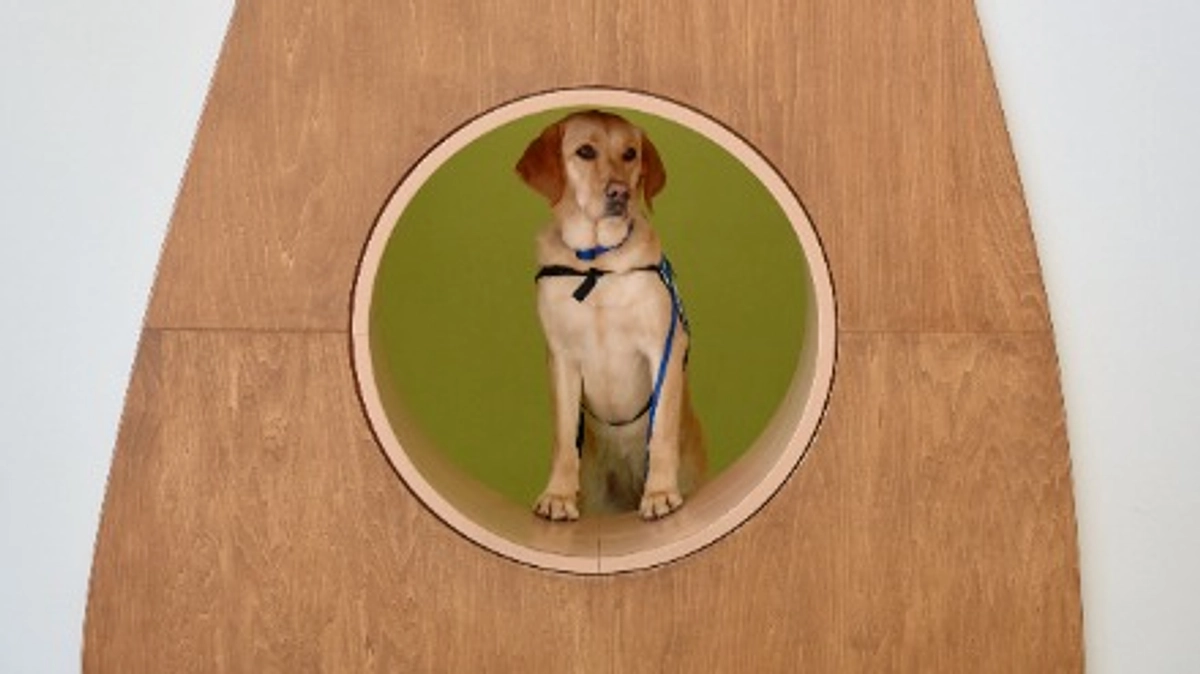 クラウドファンディングを開始しました！