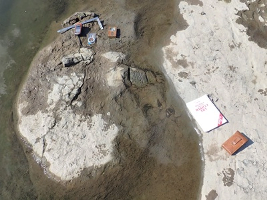 みっちゃんクジラ２