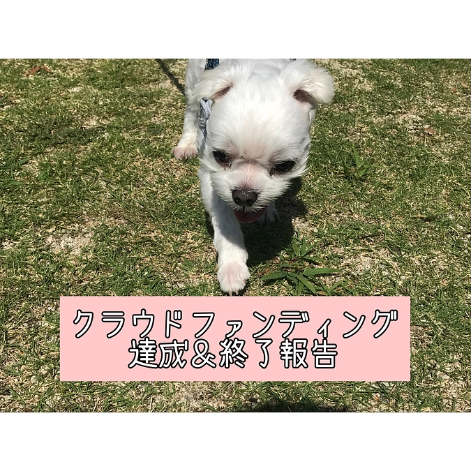 クラウドファンディング達成＆終了報告