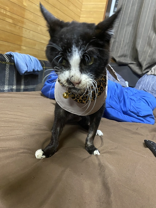 素敵なプレゼント