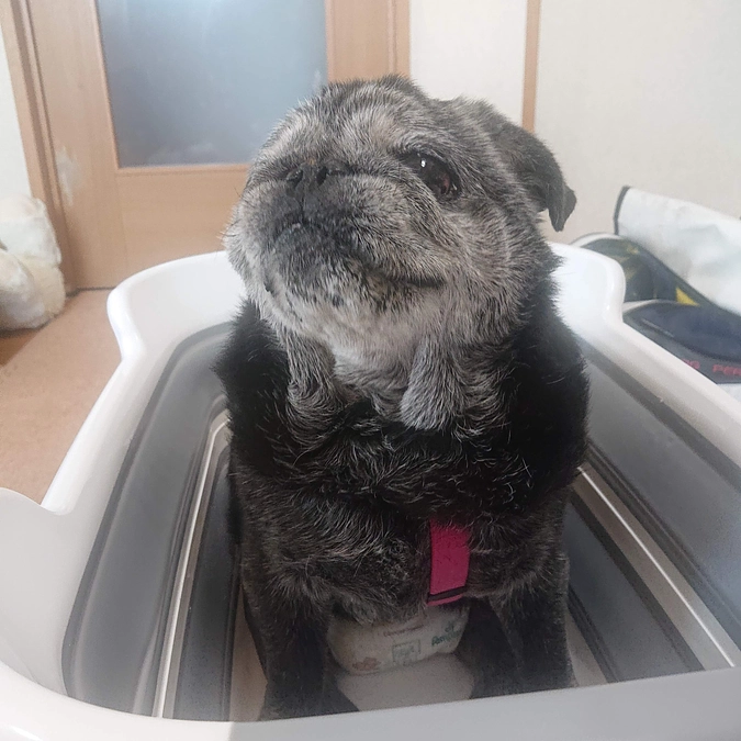 6月23日の久しぶりのお風呂😙