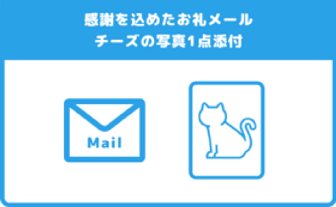 チーズ応援 500円コース